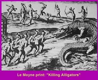 [Hunting aligators]