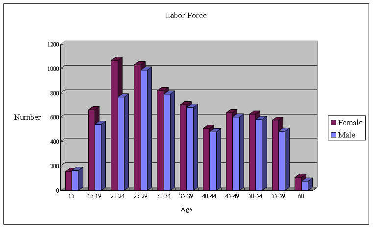 [Labor Force]